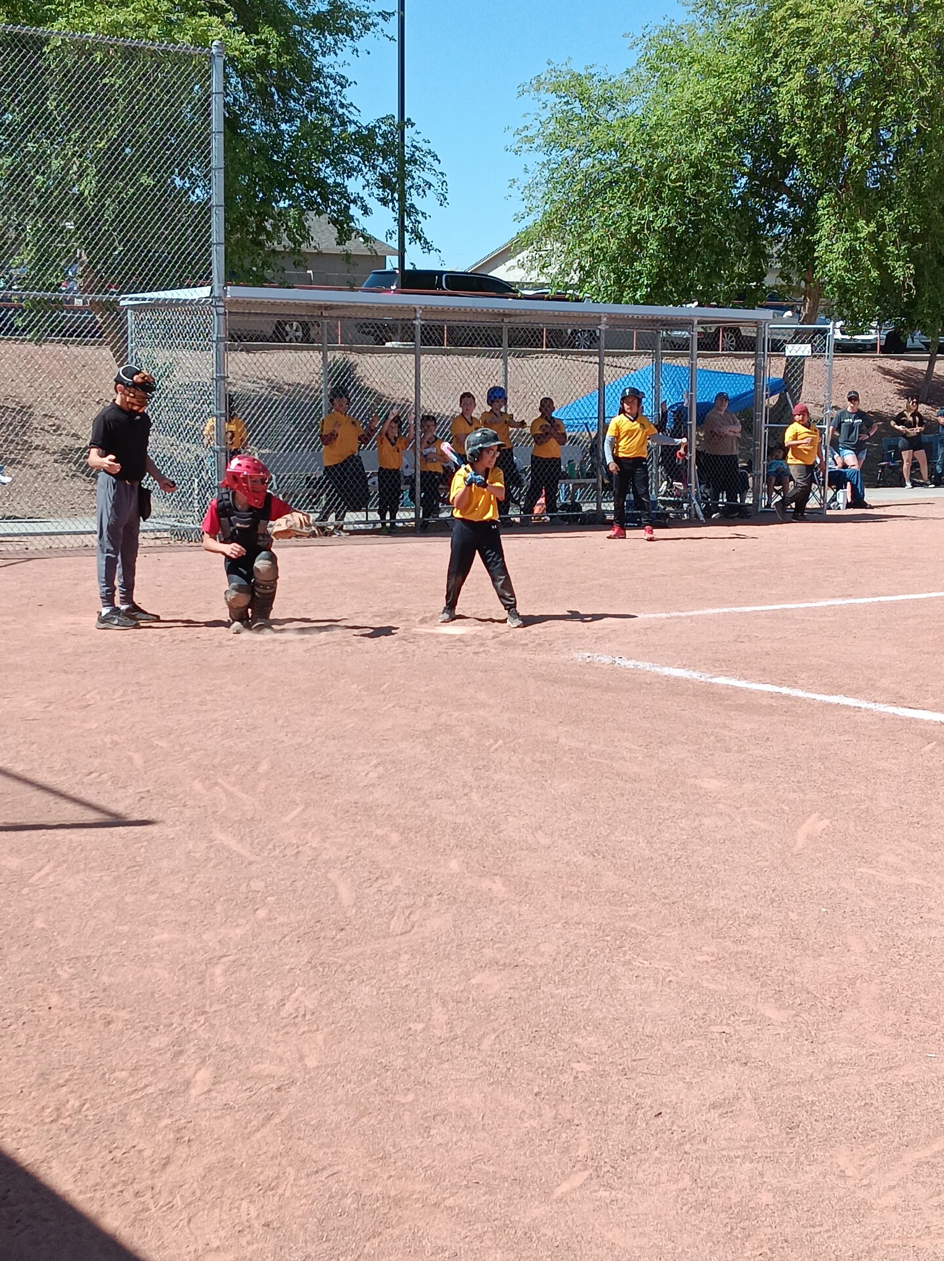 Tee Ball game being played